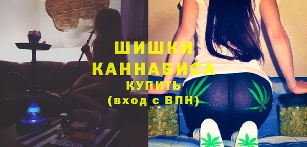 ГАЛЛЮЦИНОГЕННЫЕ ГРИБЫ Волосово
