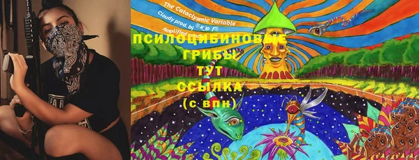ГАЛЛЮЦИНОГЕННЫЕ ГРИБЫ Волосово