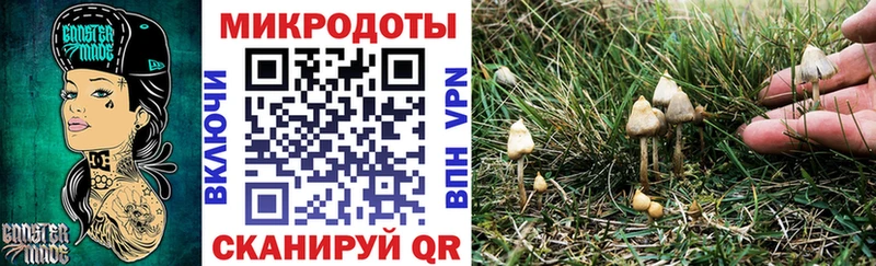 Галлюциногенные грибы Cubensis  Артём 
